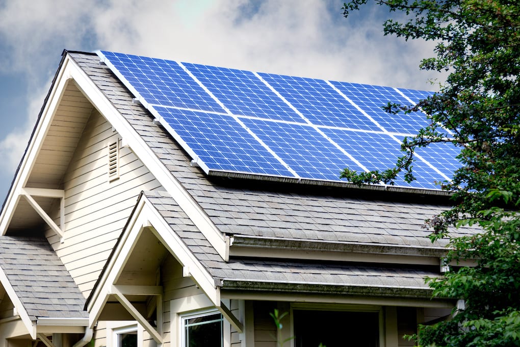 blue solar panels on gray asphalt shingle roof by a tree