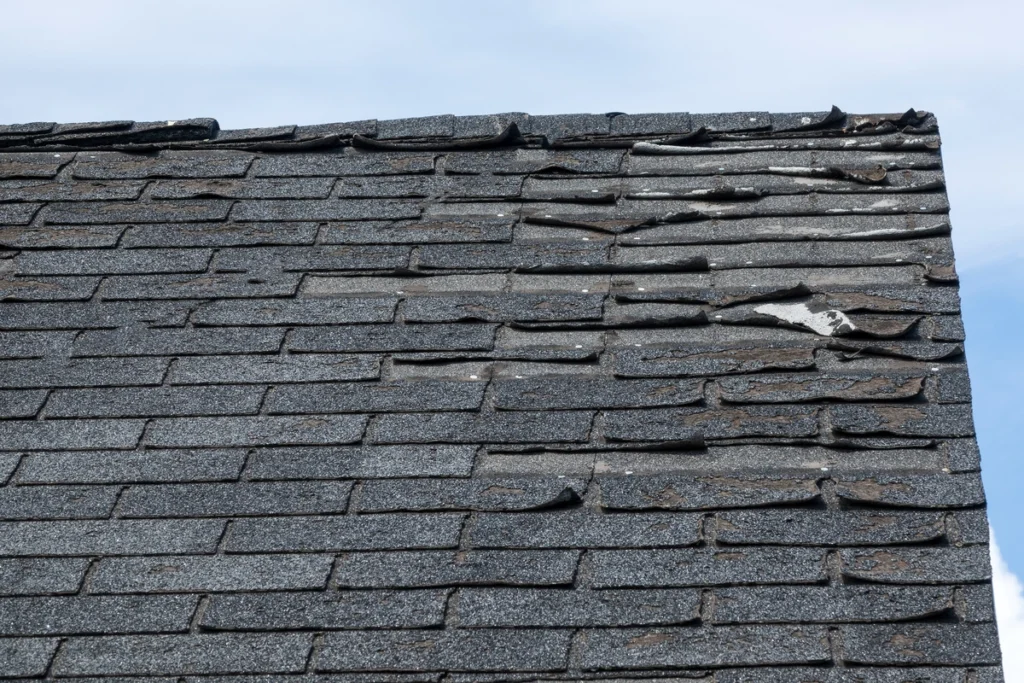 tarping-roof-damage